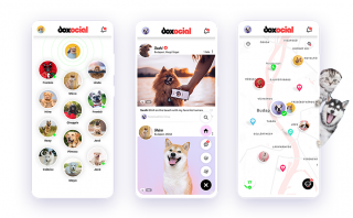 DOXOCIAL - közösségi app Gazdiknak kiemelt képe